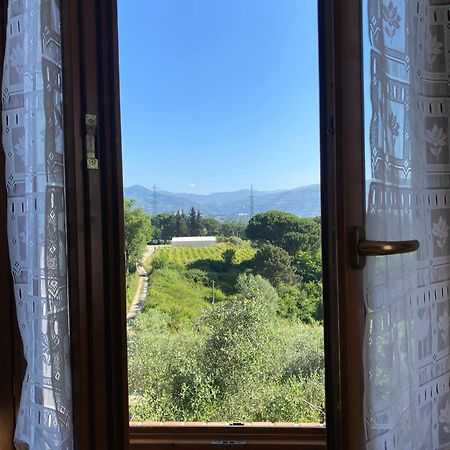 Casolare Di Adele Villa Montecarlo Eksteriør bilde