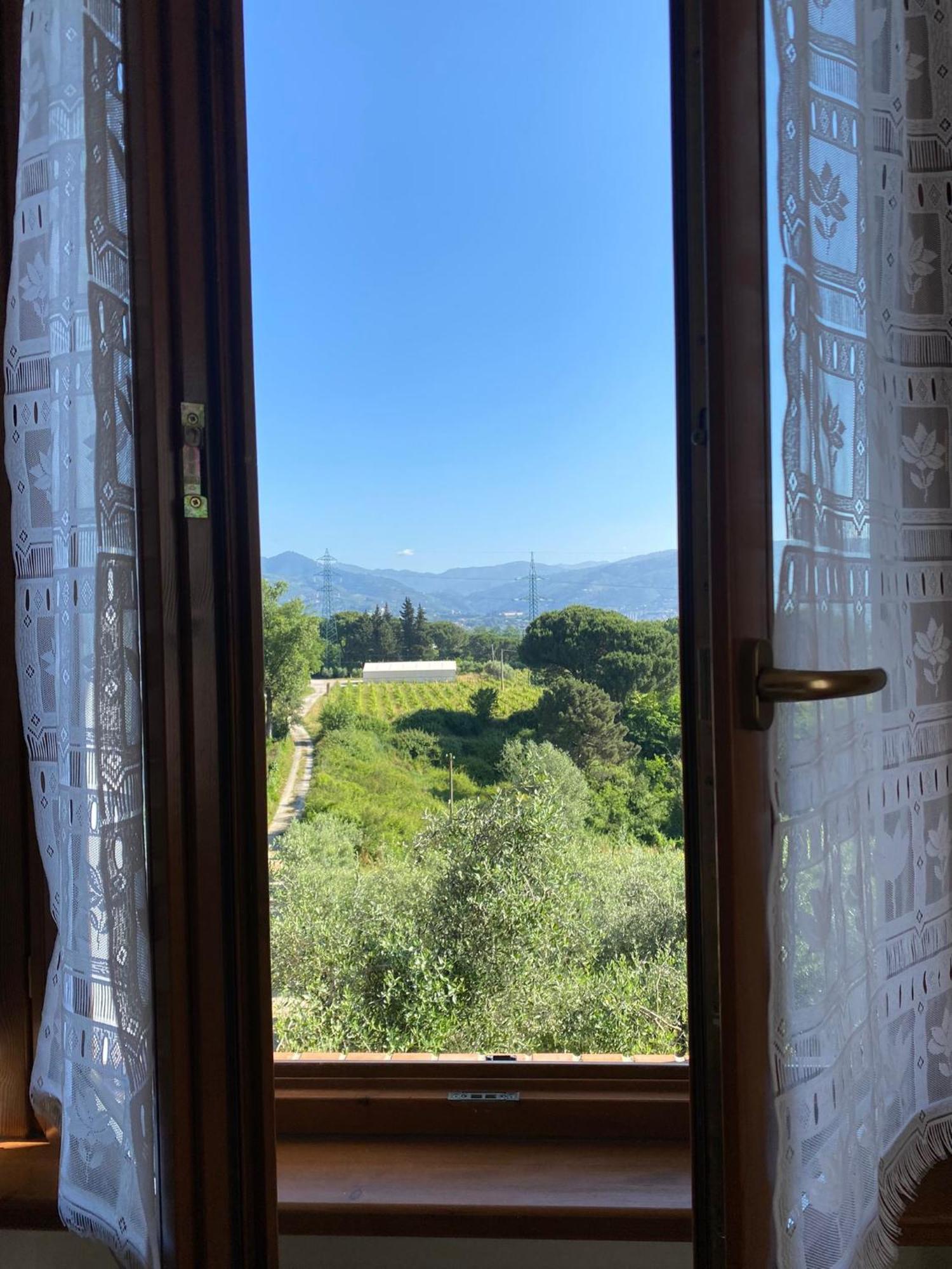 Casolare Di Adele Villa Montecarlo Eksteriør bilde